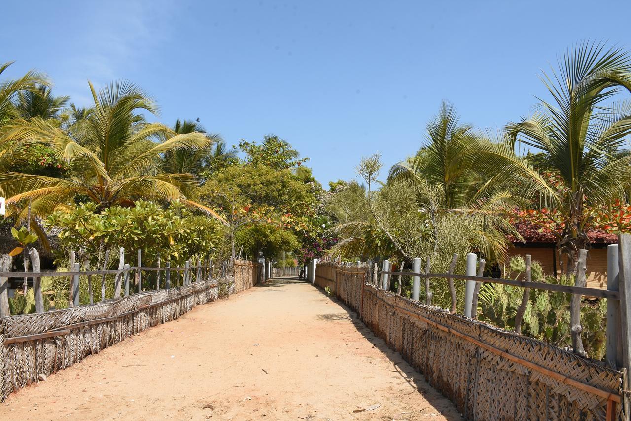 Aqua Blue Hotel Arugam Bay Luaran gambar